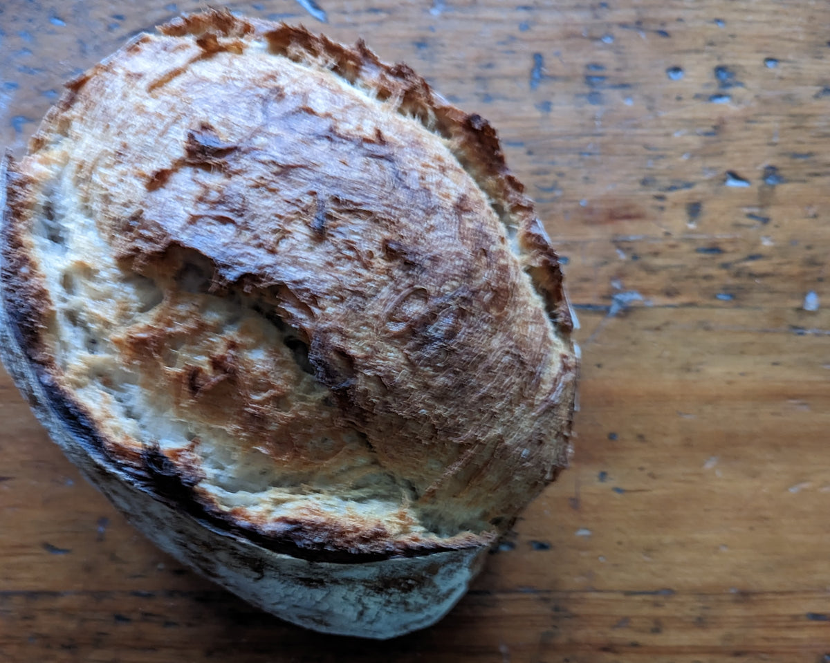 The County Elora Bread Trading Co